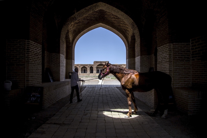 How new equestrian start-up in the UAE jumped clear of the coronavirus crisis