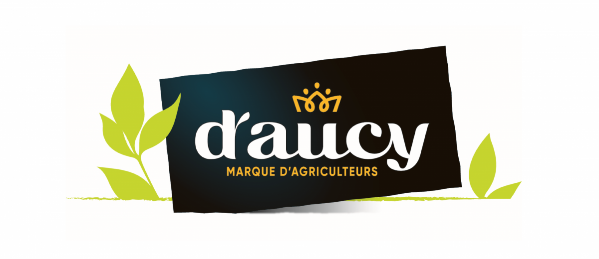 daucy