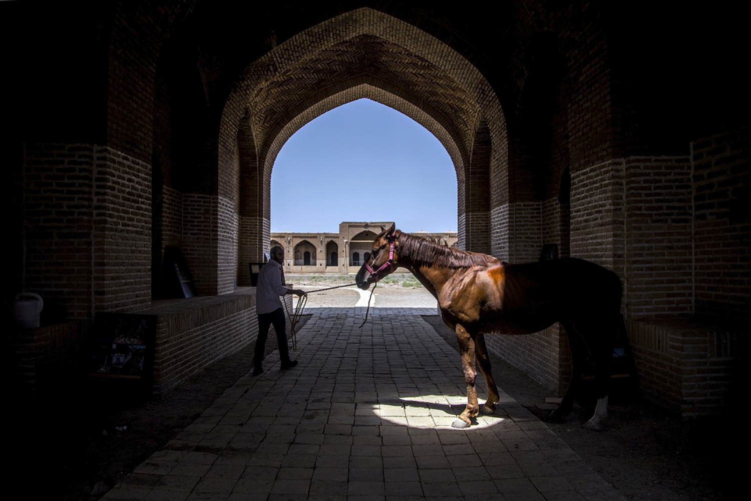 How new equestrian start-up in the UAE jumped clear of the coronavirus crisis